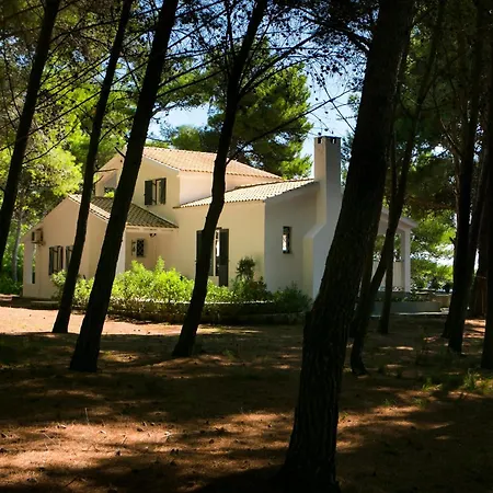 Noctiluca House Holiday home